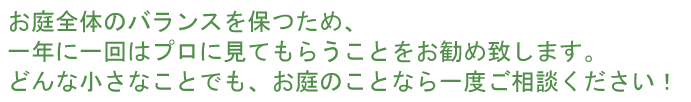 お庭全体のバランスを保つため、一年に一回はプロに見てもらうことをお勧め致します。どんな小さなことでも、お庭のことなら一度ご相談ください！